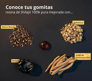 VITALIX Gold Gomitas de Shilajit Puro del Himalaya: Con Ashwagandha, Black Musli y Gokshura